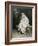 Joven Dama En Un Jardin-Raimundo Madrazo-Framed Giclee Print