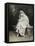 Joven Dama En Un Jardin-Raimundo Madrazo-Framed Premier Image Canvas