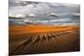 Premium Photographic Print