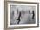 Joy 1-Moises Levy-Framed Photographic Print