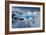 Joy Blue-Philippe Sainte-Laudy-Framed Photographic Print