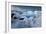 Joy Blue-Philippe Sainte-Laudy-Framed Photographic Print