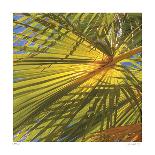 Banana Leaves II-Joy Doherty-Giclee Print