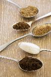 Spoonfuls of Various Sugars-Joy Skipper FoodStyling-Mounted Photographic Print