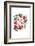 Joy Wreath-Sara Berrenson-Framed Art Print