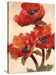 Poppies I-Joyce H^ Kamikura-Stretched Canvas