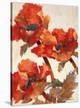 Poppies II-Joyce H^ Kamikura-Stretched Canvas