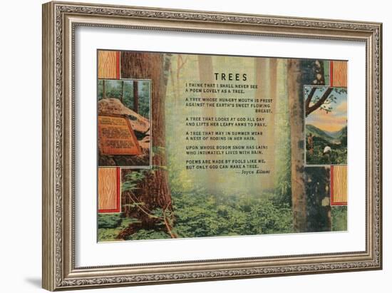 Joyce Kilmer Trees Poem, Forest-null-Framed Giclee Print