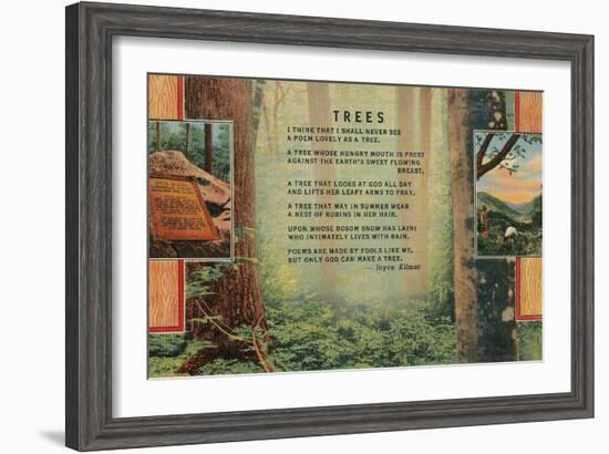 Joyce Kilmer Trees Poem, Forest-null-Framed Giclee Print