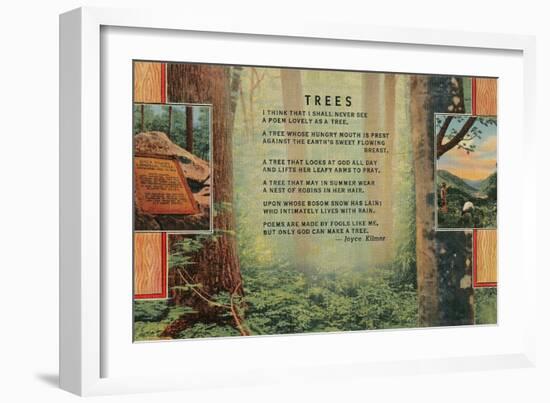 Joyce Kilmer Trees Poem, Forest-null-Framed Giclee Print