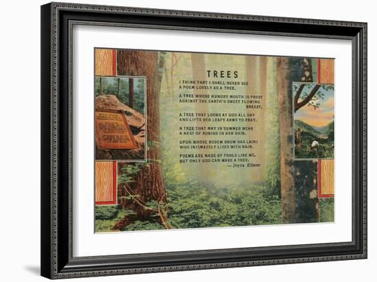 Joyce Kilmer Trees Poem, Forest-null-Framed Giclee Print