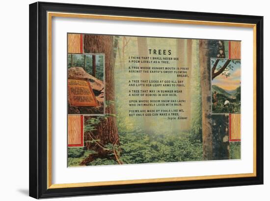 Joyce Kilmer Trees Poem, Forest-null-Framed Giclee Print