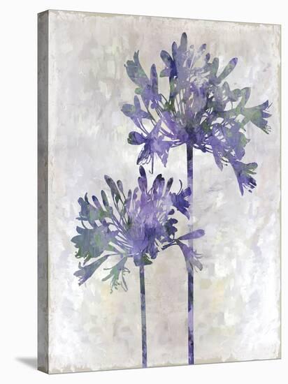 Joyful Bloom - Duet-Tania Bello-Framed Stretched Canvas