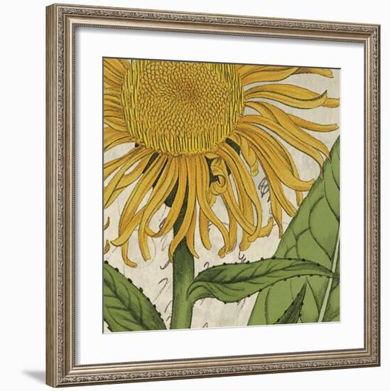 Joyful Bloom I-Sabine Berg-Framed Art Print