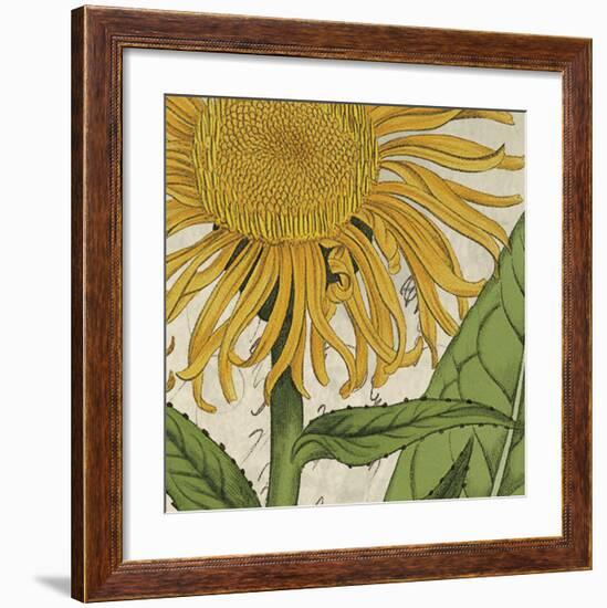 Joyful Bloom I-Sabine Berg-Framed Art Print