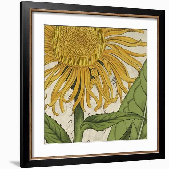 Joyful Bloom I-Sabine Berg-Framed Art Print