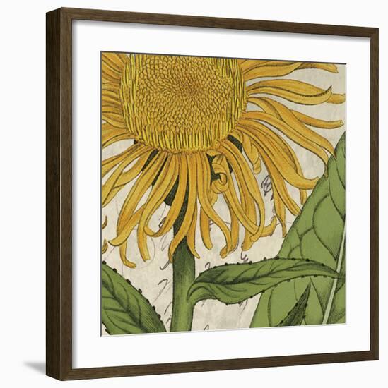 Joyful Bloom I-Sabine Berg-Framed Art Print