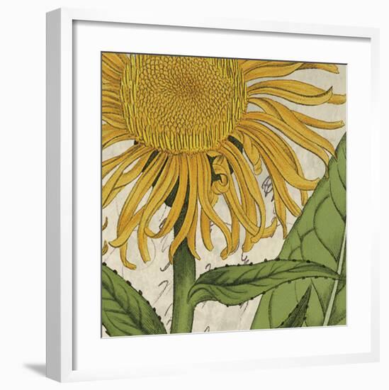 Joyful Bloom I-Sabine Berg-Framed Art Print