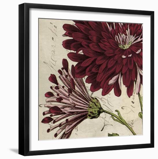 Joyful Bloom II-Sabine Berg-Framed Art Print