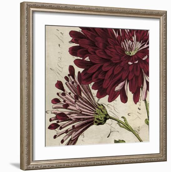 Joyful Bloom II-Sabine Berg-Framed Art Print