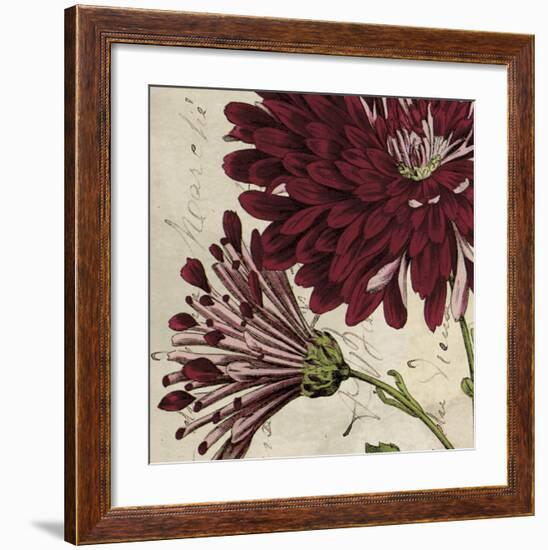 Joyful Bloom II-Sabine Berg-Framed Art Print