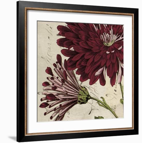 Joyful Bloom II-Sabine Berg-Framed Art Print