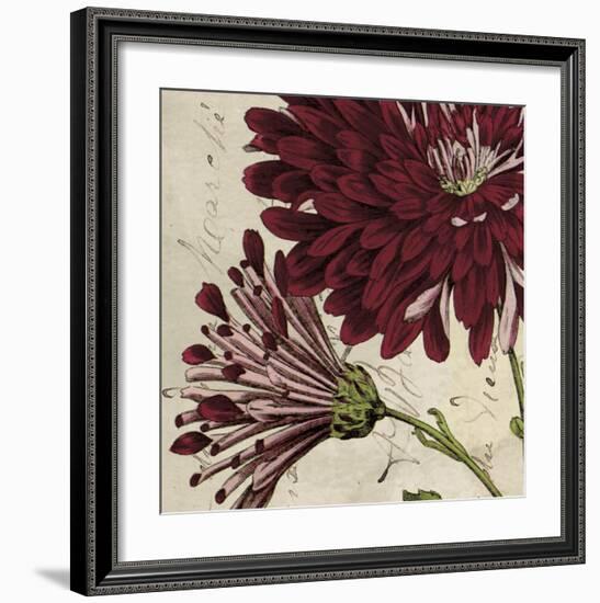 Joyful Bloom II-Sabine Berg-Framed Art Print