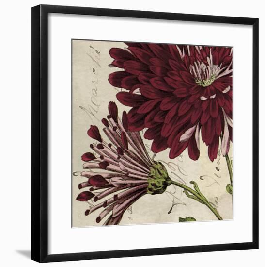 Joyful Bloom II-Sabine Berg-Framed Art Print