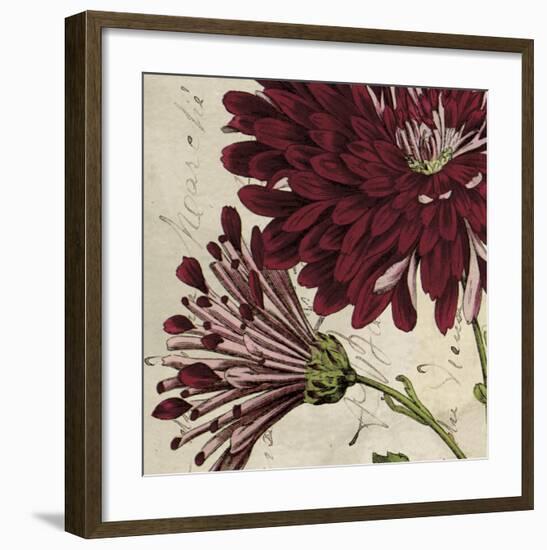 Joyful Bloom II-Sabine Berg-Framed Art Print