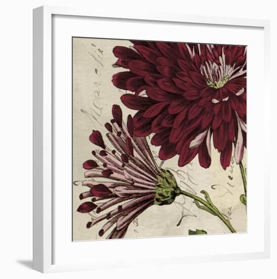 Joyful Bloom II-Sabine Berg-Framed Art Print