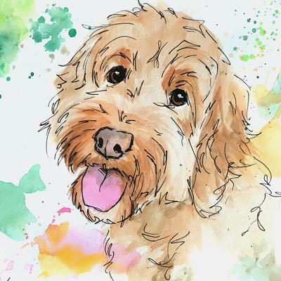 cockapoo painting