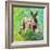 Joyful Hare, 2011-Helen White-Framed Giclee Print