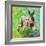 Joyful Hare, 2011-Helen White-Framed Giclee Print