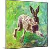 Joyful Hare, 2011-Helen White-Mounted Giclee Print