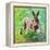 Joyful Hare, 2011-Helen White-Framed Premier Image Canvas