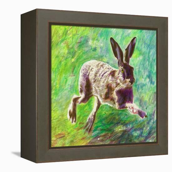 Joyful Hare, 2011-Helen White-Framed Premier Image Canvas