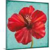 Joyful Hibiscus-Patricia Pinto-Mounted Art Print