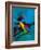 Joyful I-Thomas Leung-Framed Giclee Print