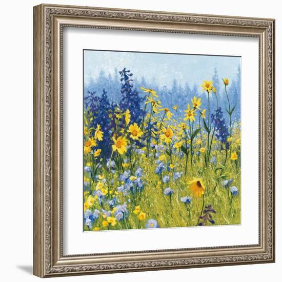 Joyful in July III-Shirley Novak-Framed Art Print