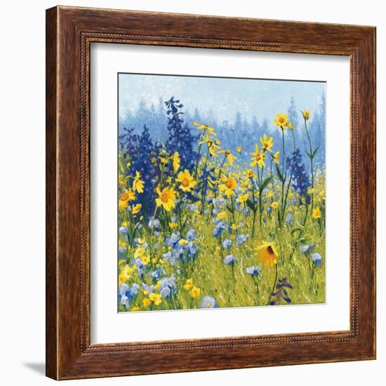 Joyful in July III-Shirley Novak-Framed Art Print