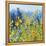 Joyful in July III-Shirley Novak-Framed Stretched Canvas