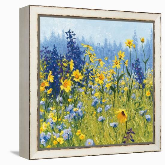 Joyful in July III-Shirley Novak-Framed Stretched Canvas