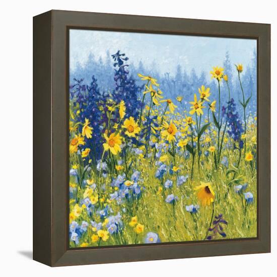 Joyful in July III-Shirley Novak-Framed Stretched Canvas