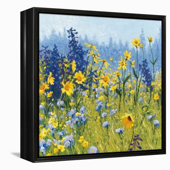 Joyful in July III-Shirley Novak-Framed Stretched Canvas