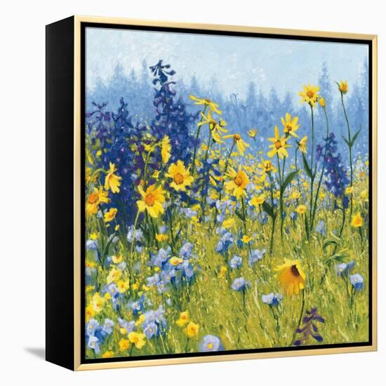 Joyful in July III-Shirley Novak-Framed Stretched Canvas