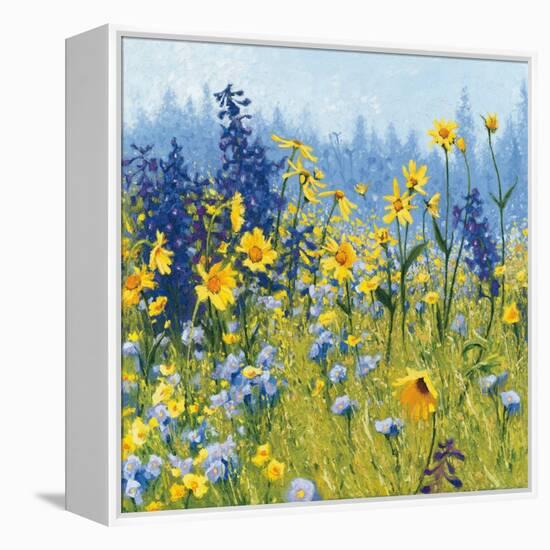 Joyful in July III-Shirley Novak-Framed Stretched Canvas