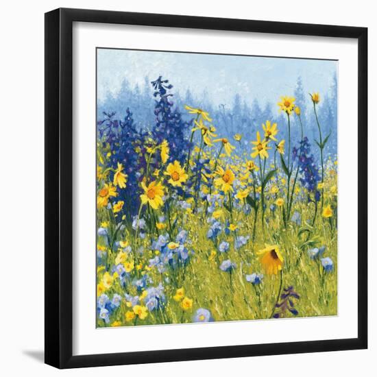 Joyful in July III-Shirley Novak-Framed Art Print