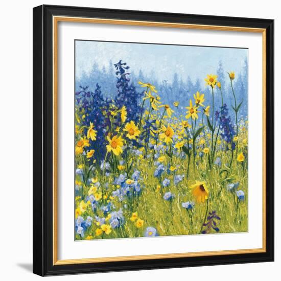 Joyful in July III-Shirley Novak-Framed Art Print