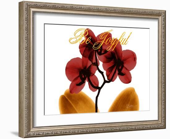 Joyful Orchid-Albert Koetsier-Framed Photo