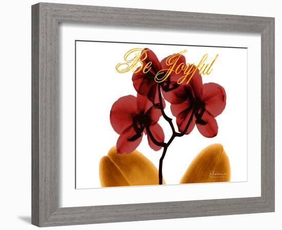 Joyful Orchid-Albert Koetsier-Framed Photo